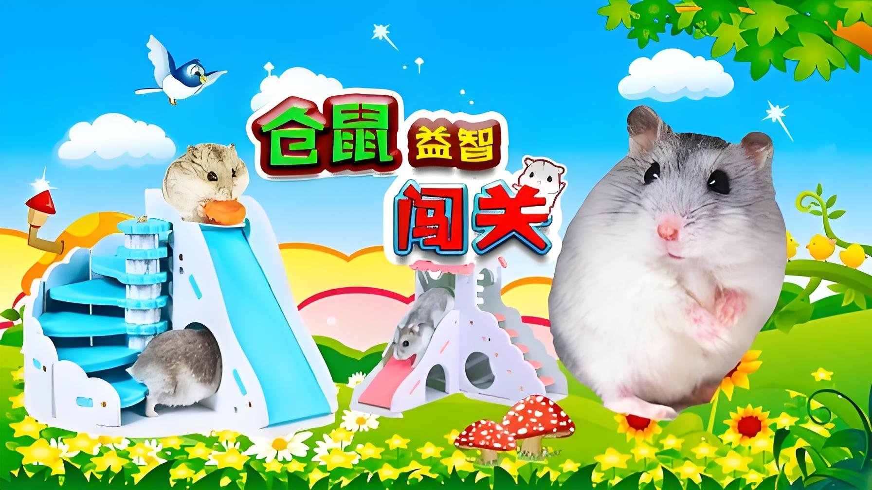 仓鼠益智闯关 Background