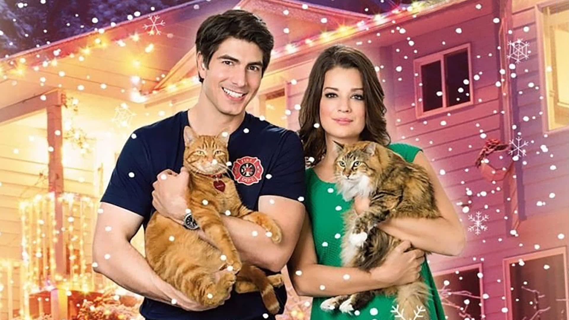 The Nine Lives of Christmas Background