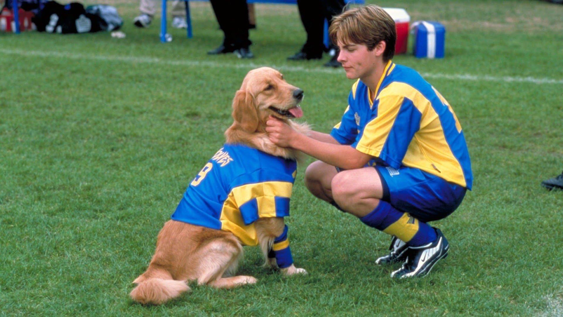 Air Bud: World Pup Background