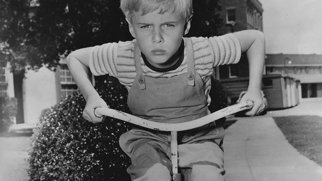 Dennis the Menace Background