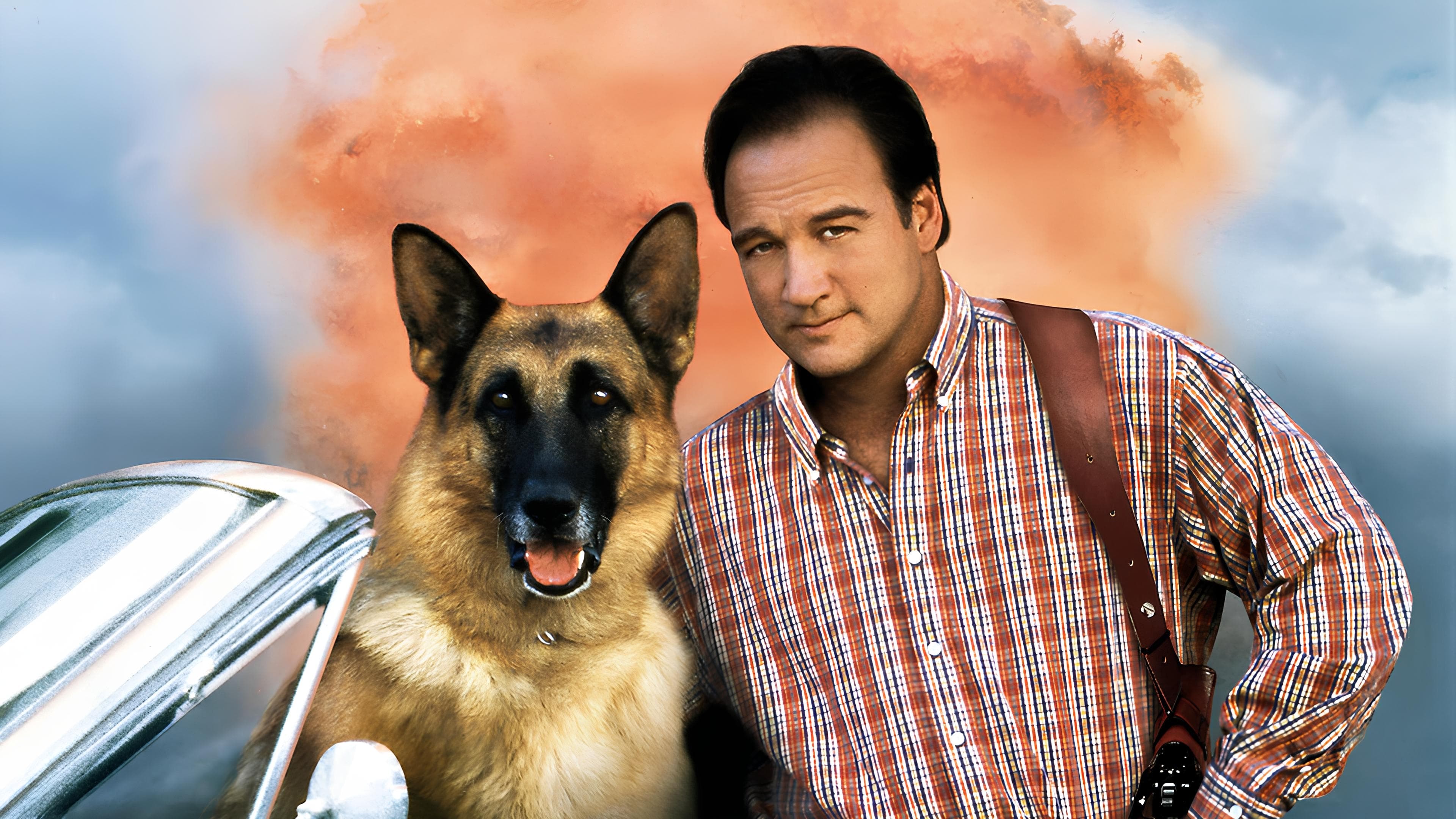 K-911 Background