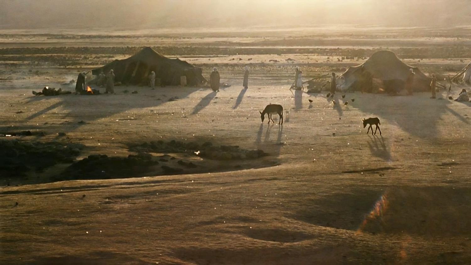 In the Beginning Background