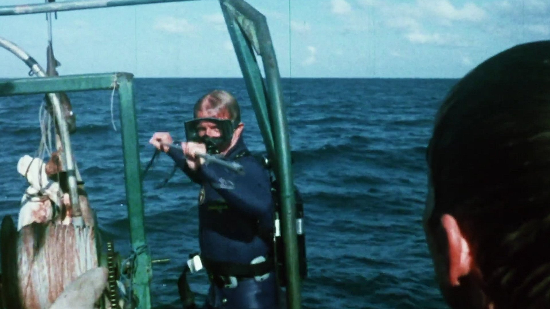 Mako: The Jaws of Death Background