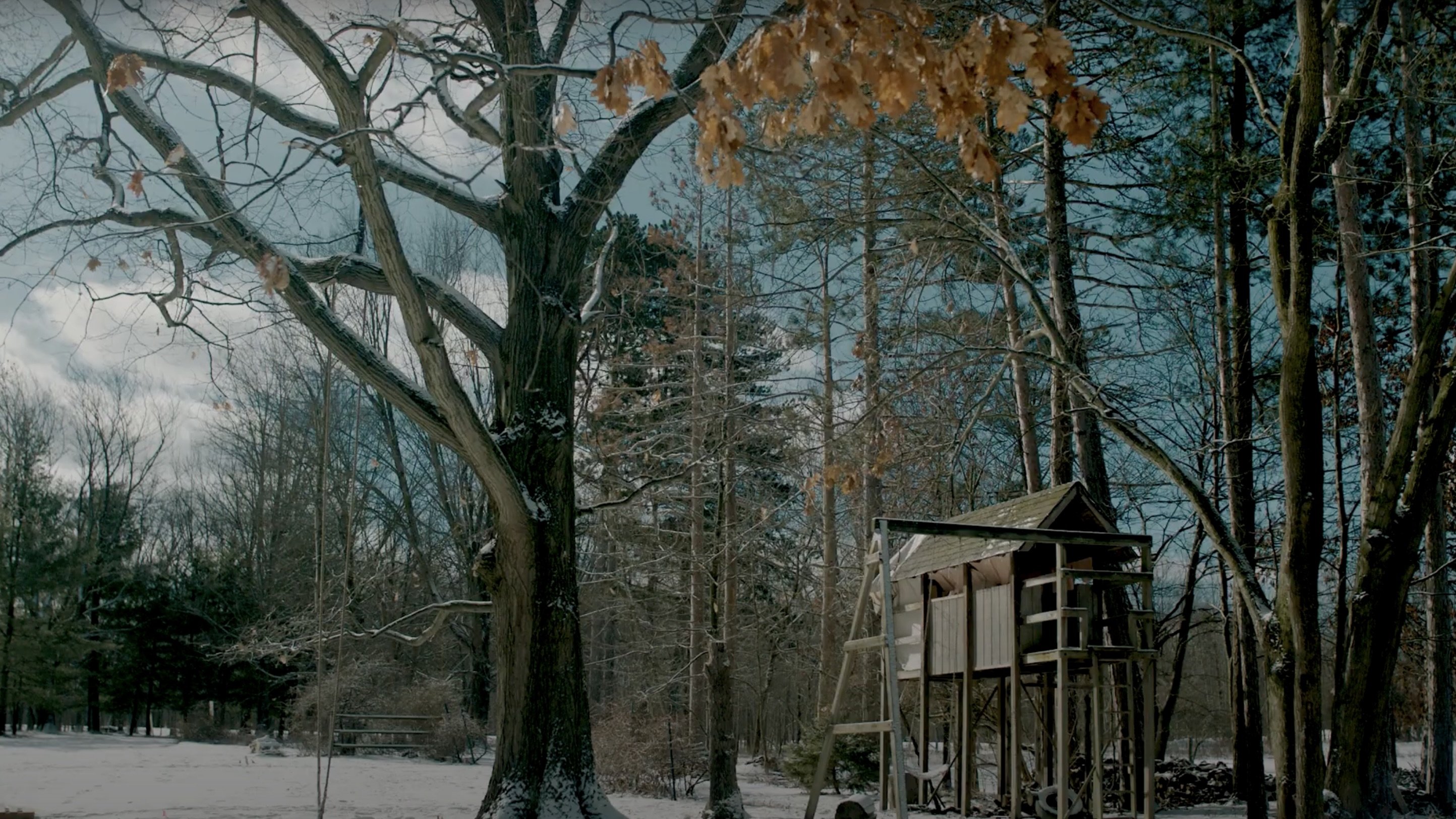 Treehouse Background
