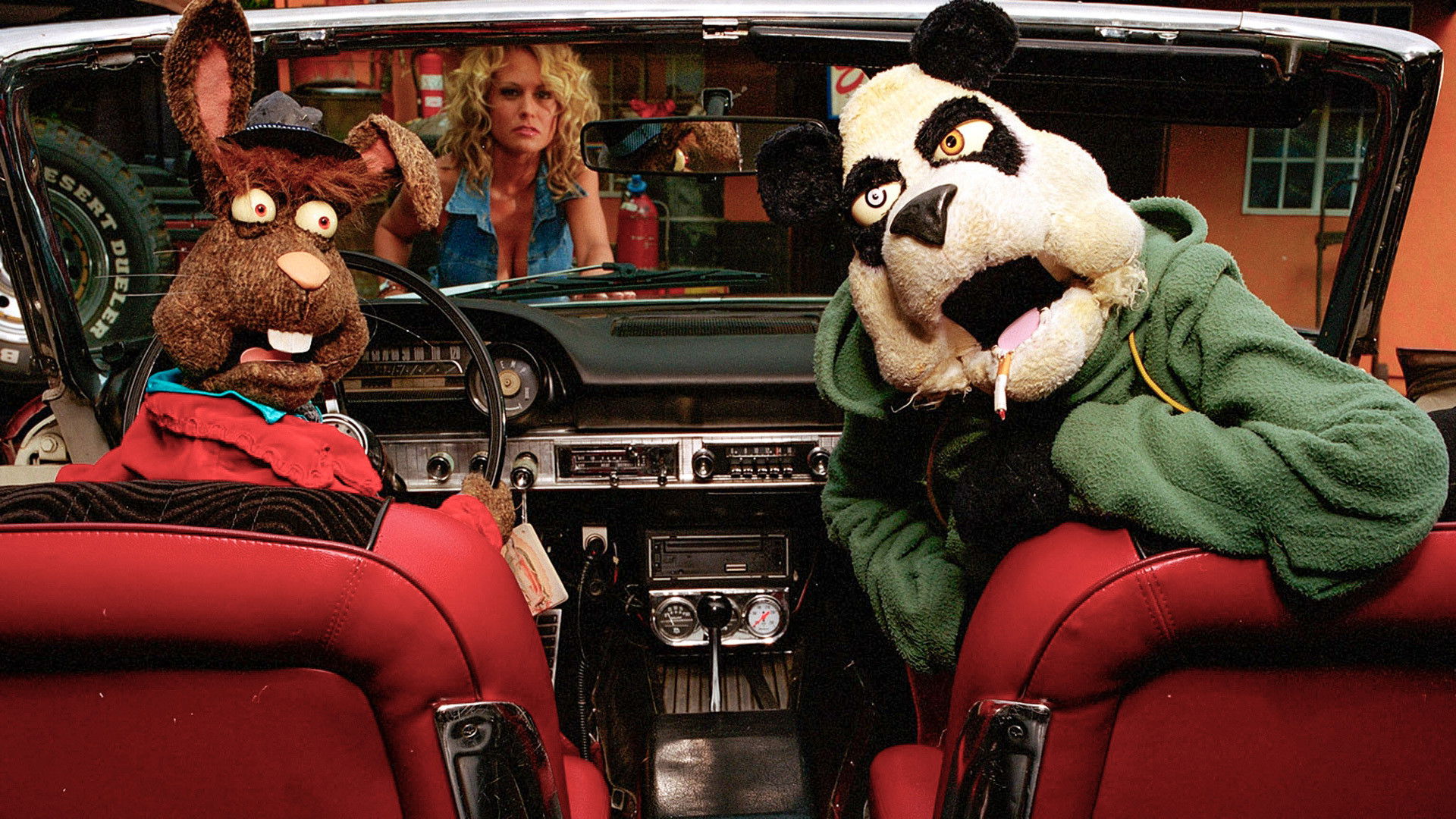 The Bronx Bunny Show Background