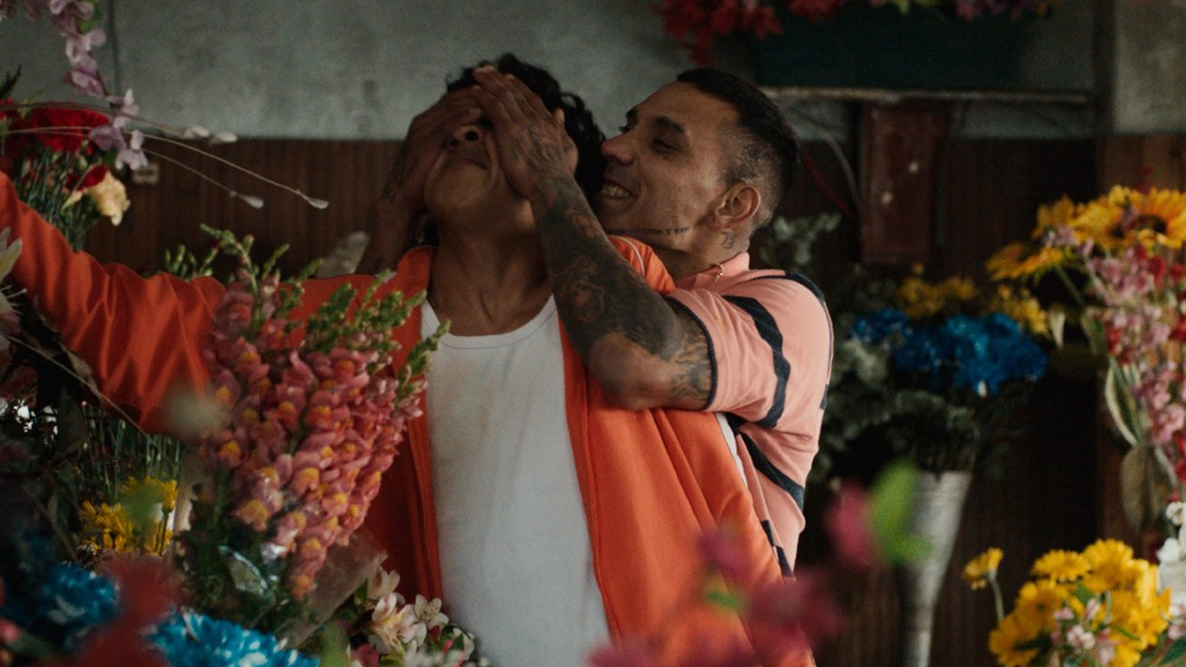 Quedate quieto o te amo Background