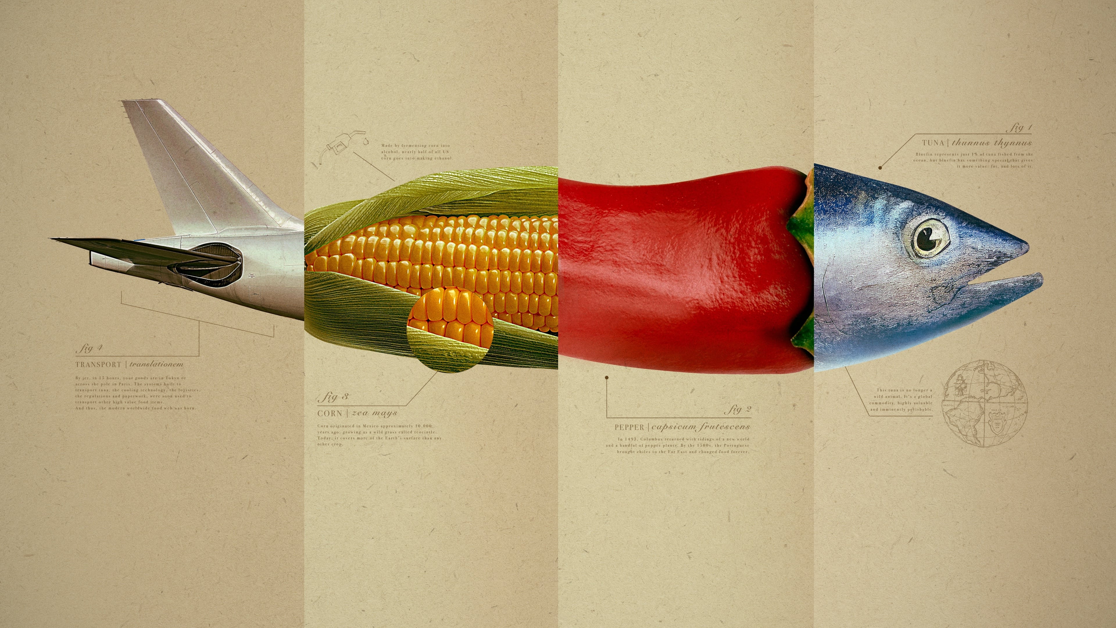 Omnivore Background