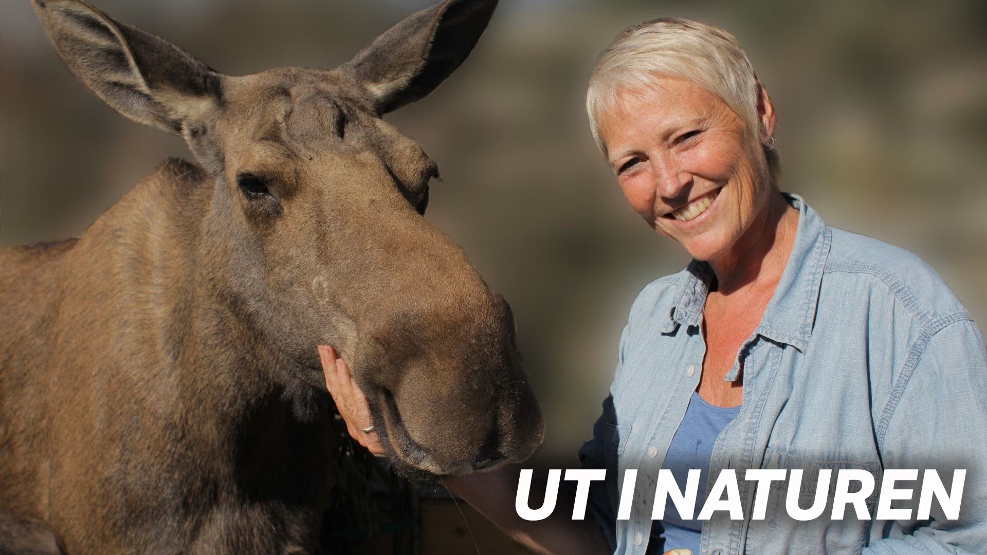 Ut i naturen Background