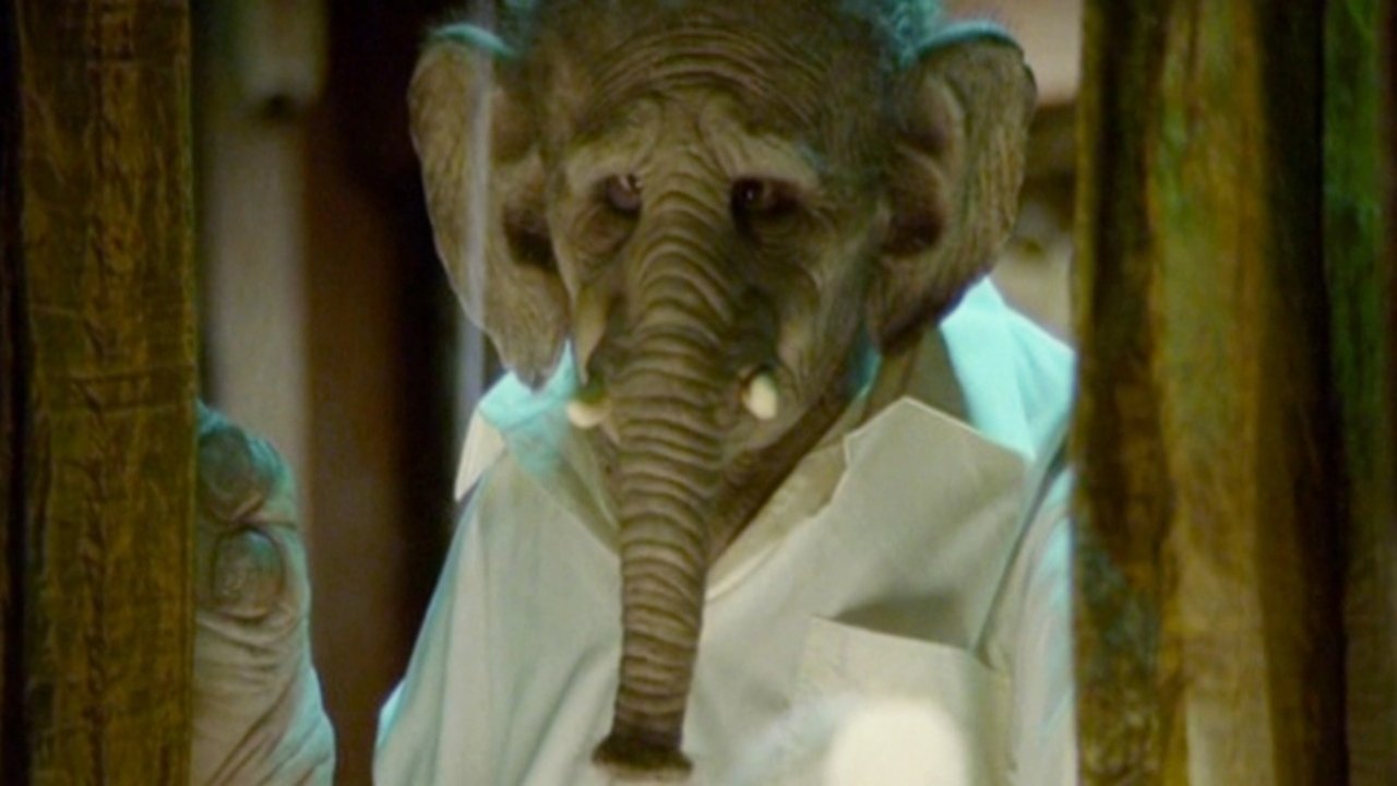 Elefante Background