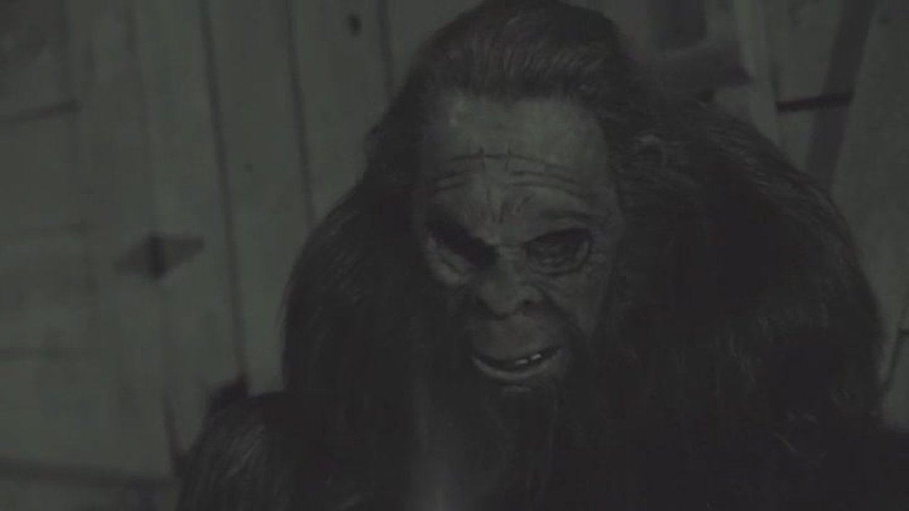 Something in the Woods Background