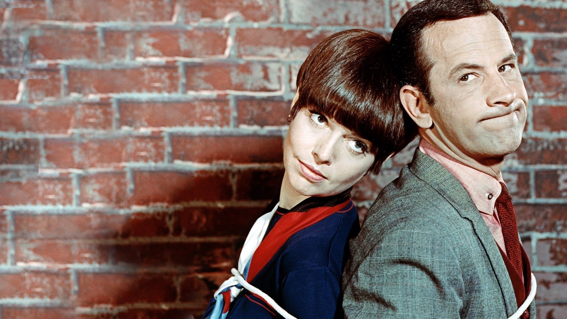 Get Smart Background