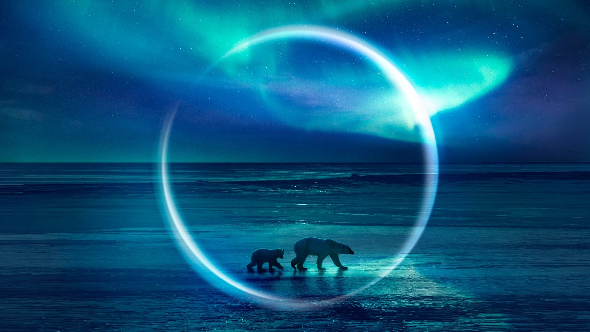 Frozen Planet II Background