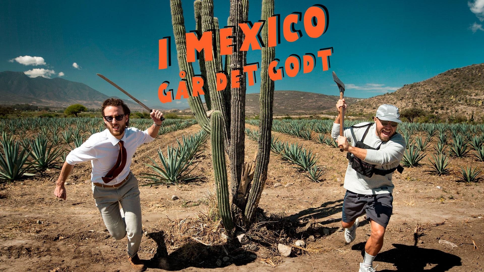 I Mexico går det godt Background