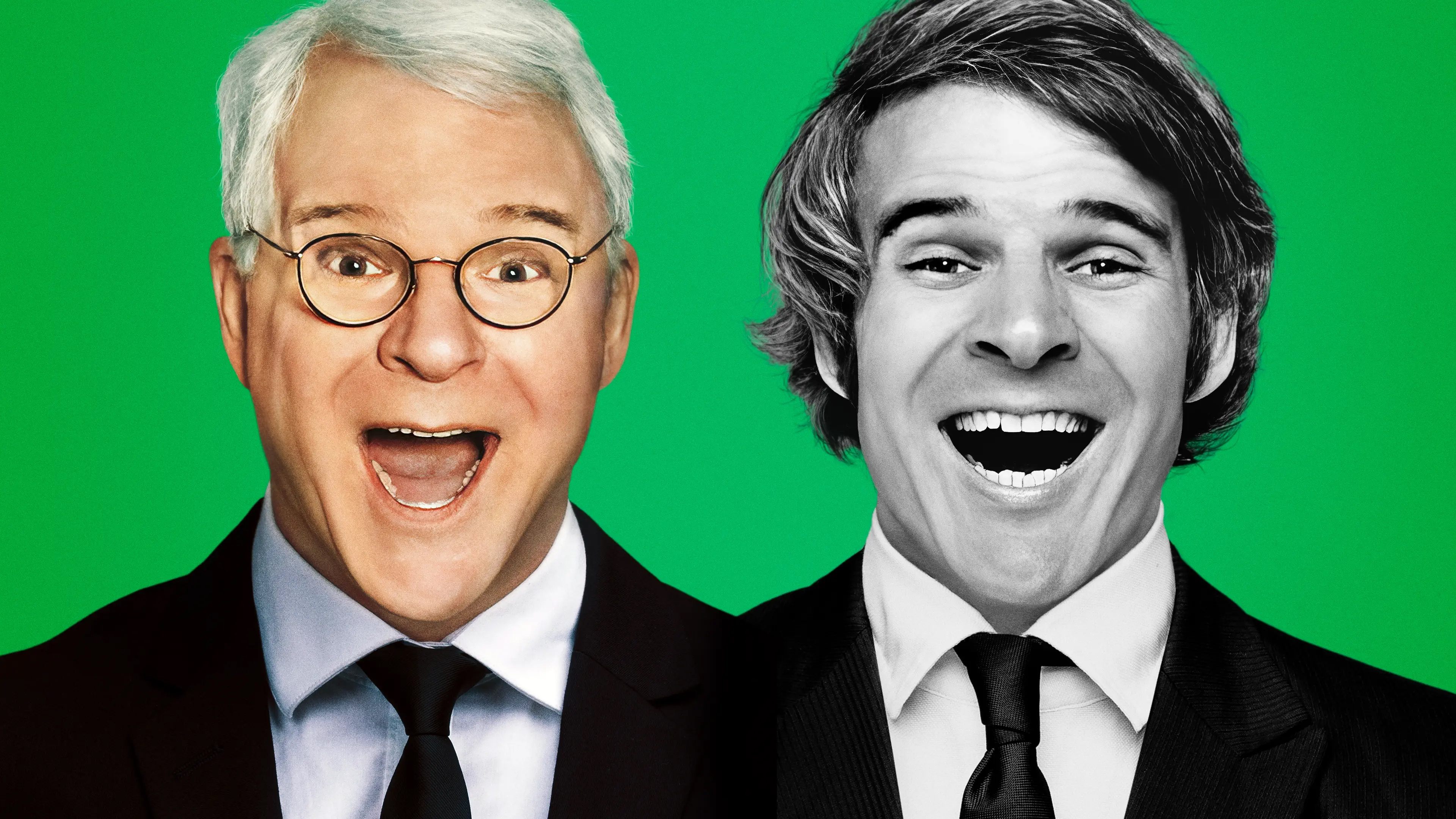 STEVE! (martin) a documentary in 2 pieces Background
