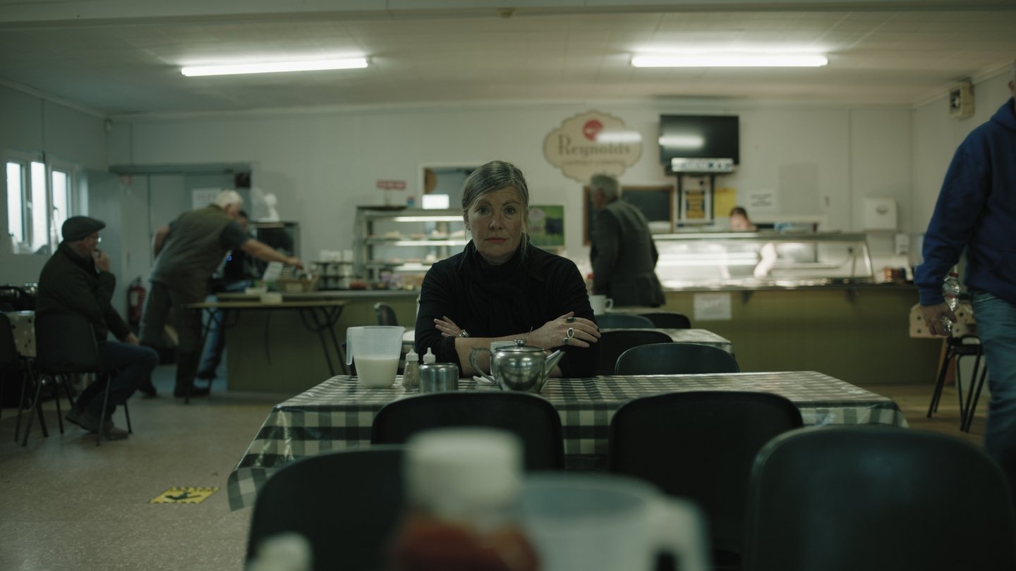 Notes from Sheepland Background