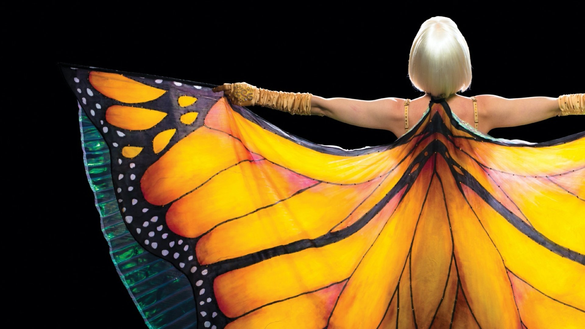 The Butterfly Tree Background