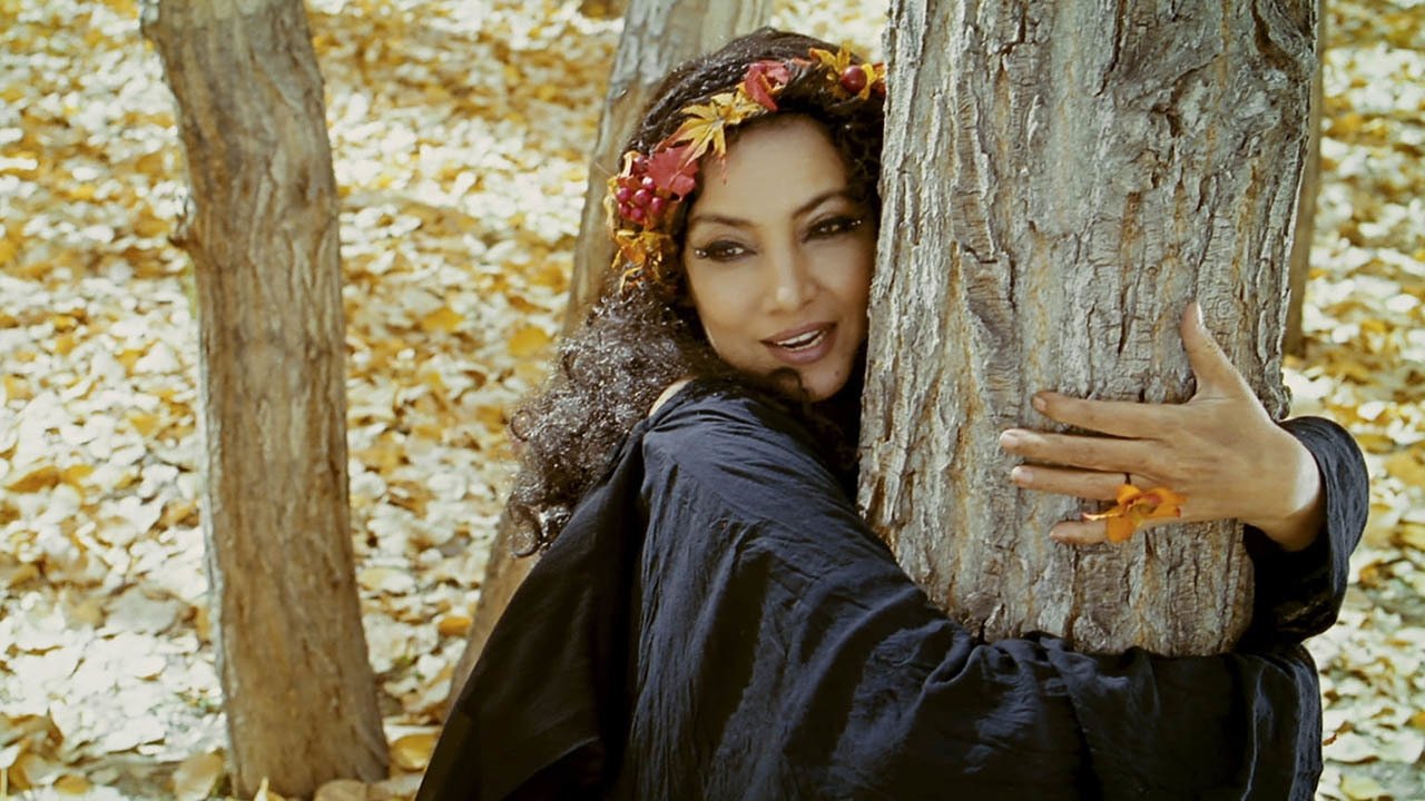 The Wishing Tree Background
