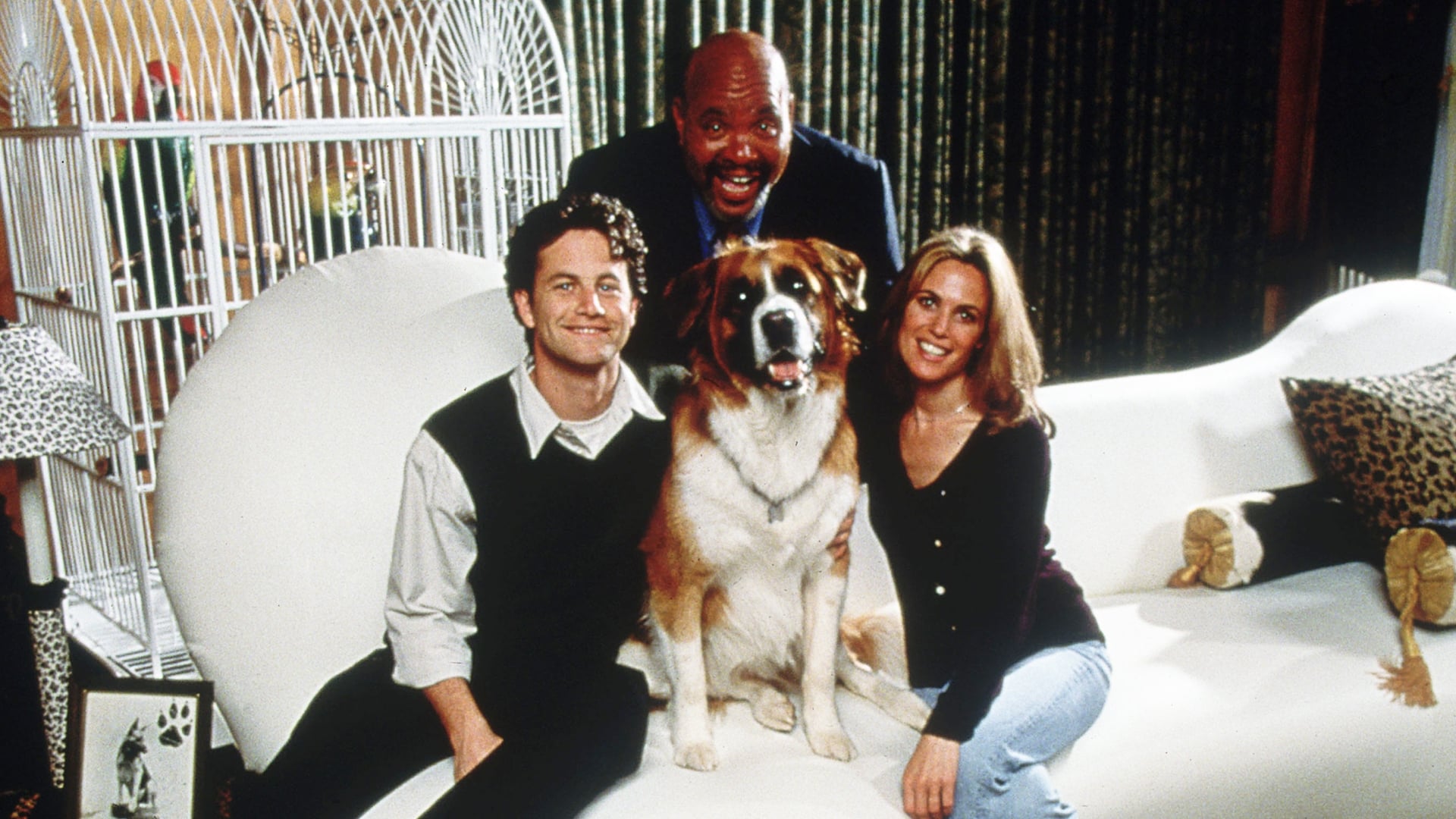 You Lucky Dog Background