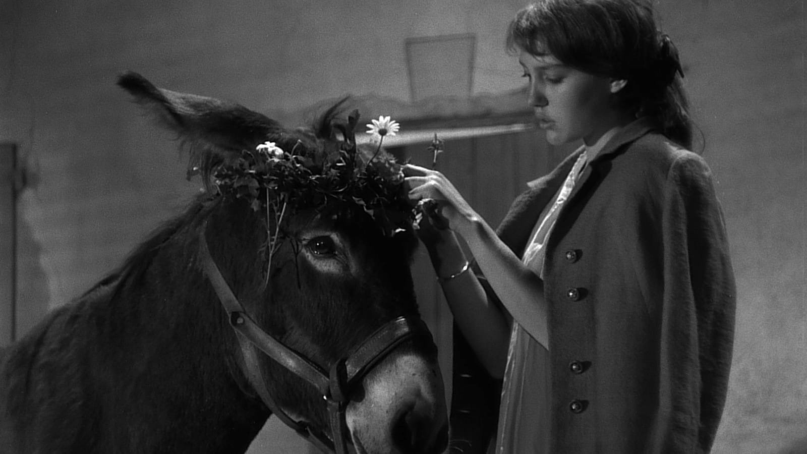Au Hasard Balthazar Background