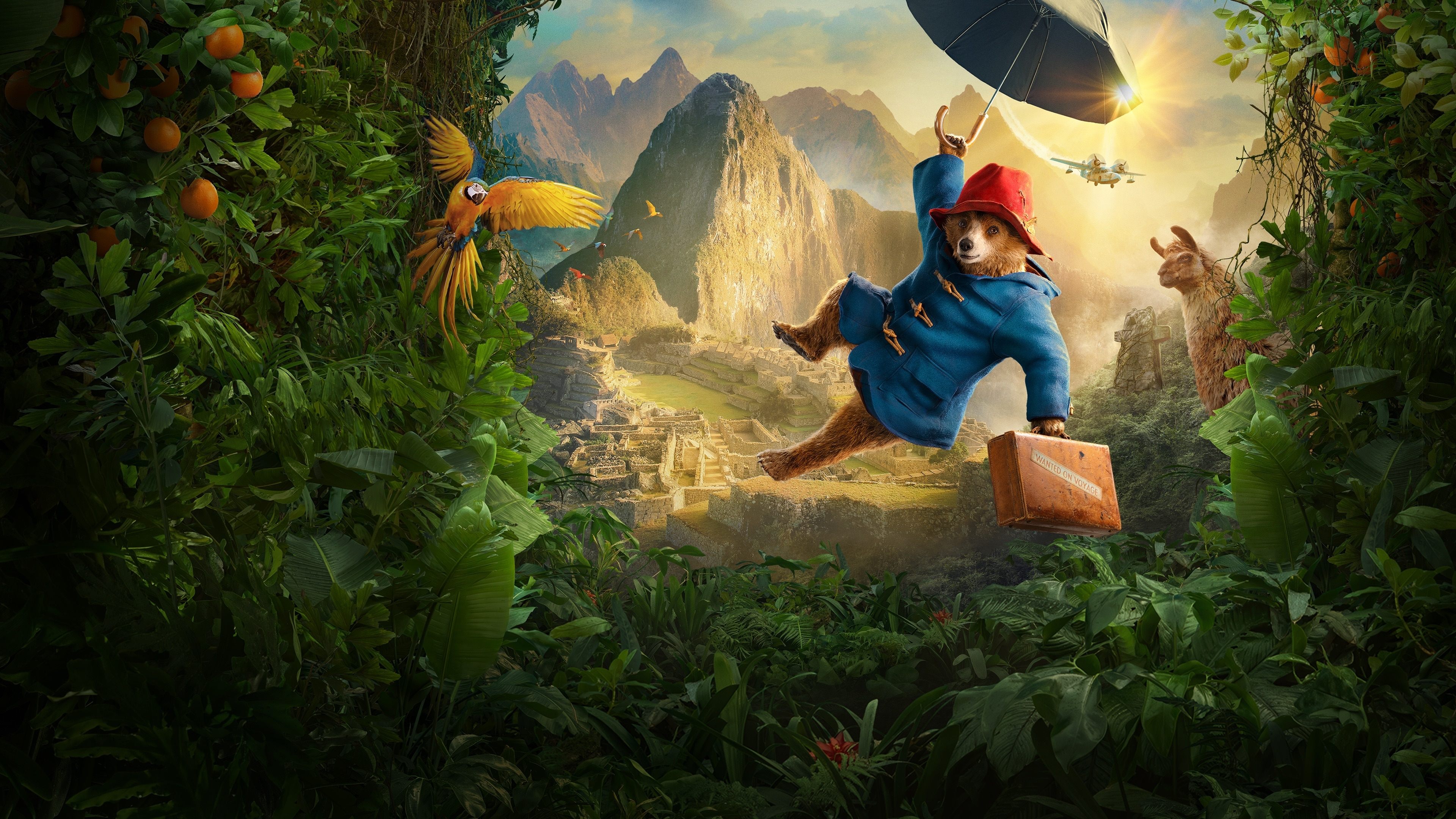 Paddington in Peru Background