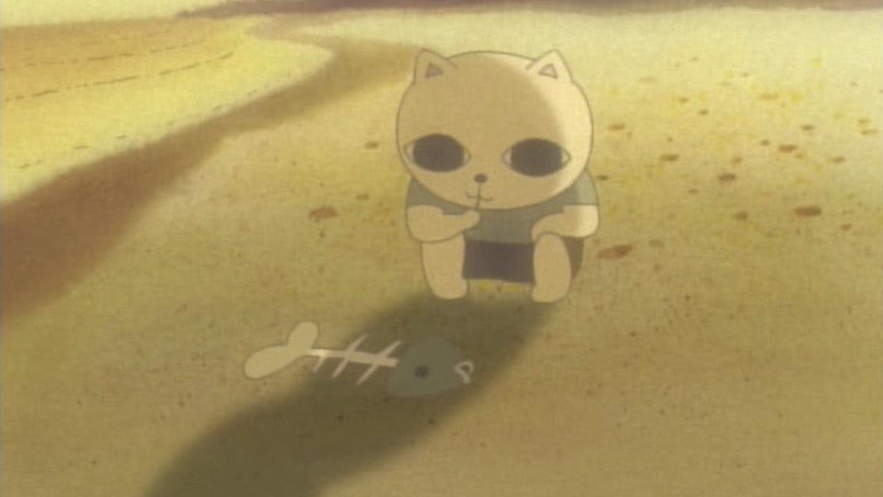 Cat Soup Background