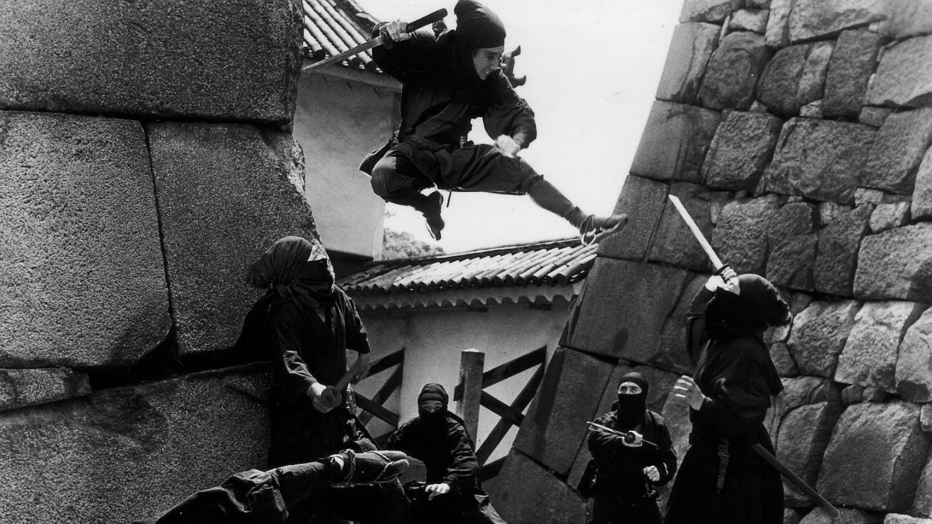 Shinobi No Mono 6: The Last Iga Spy Background