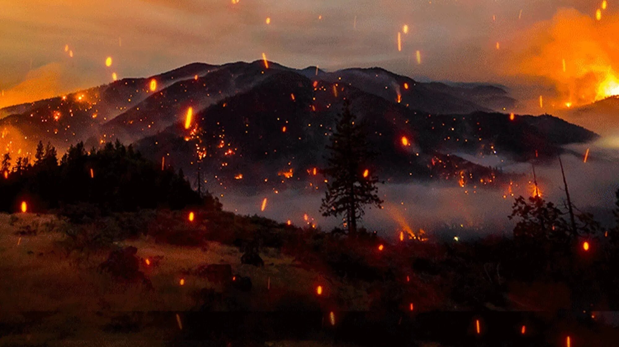 Elemental: Reimagine Wildfire Background