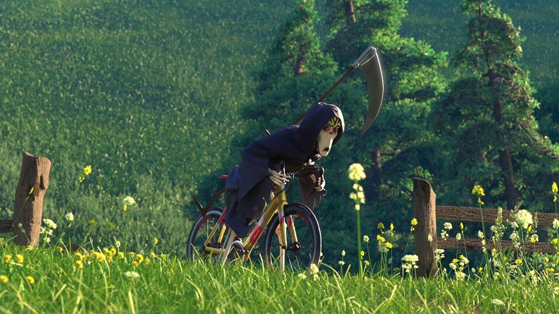 The Race Background