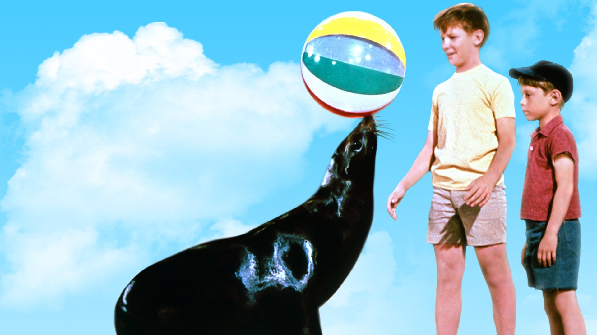 Sammy, the Way-Out Seal Background