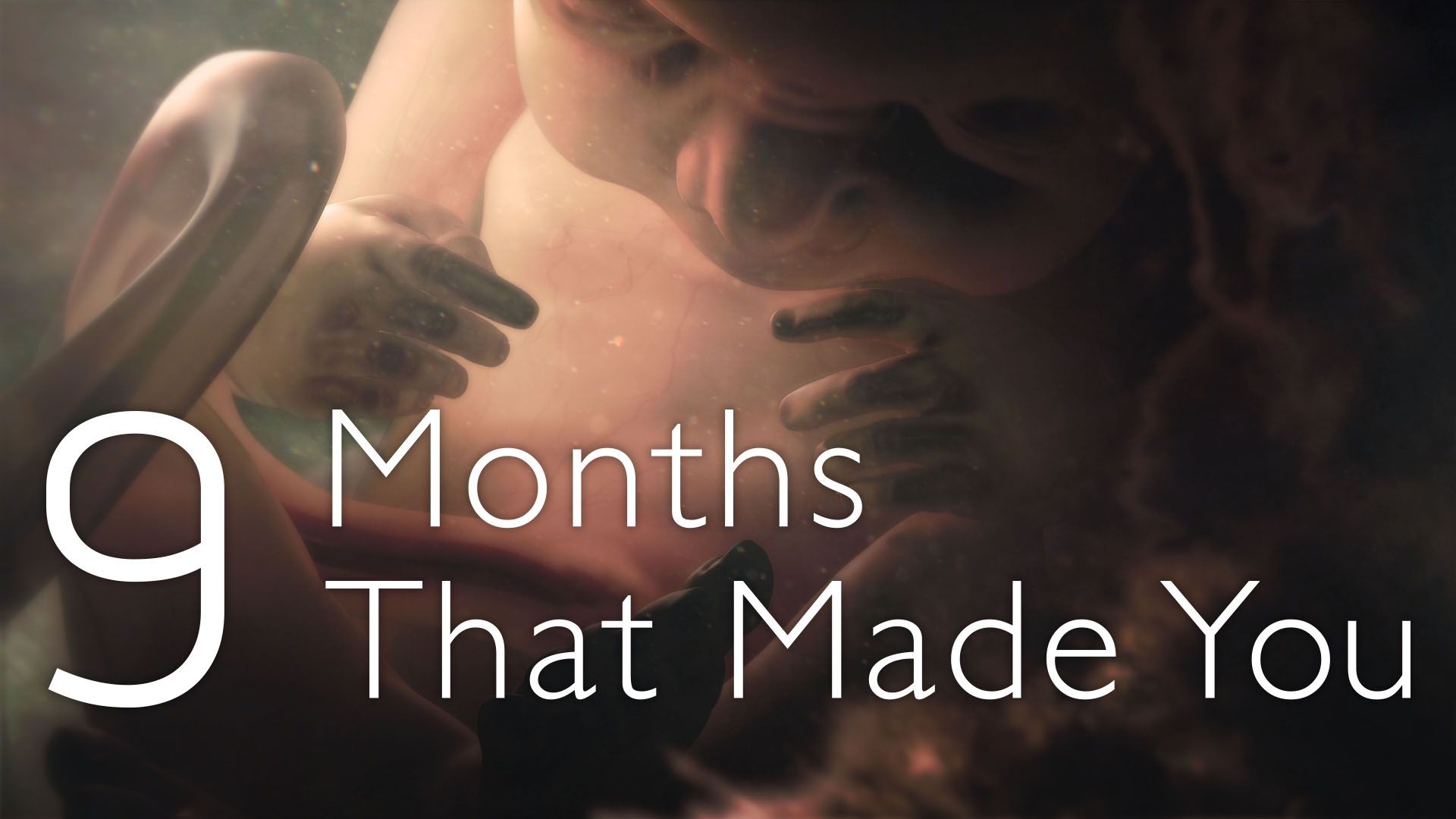 9 Months That Made You Background