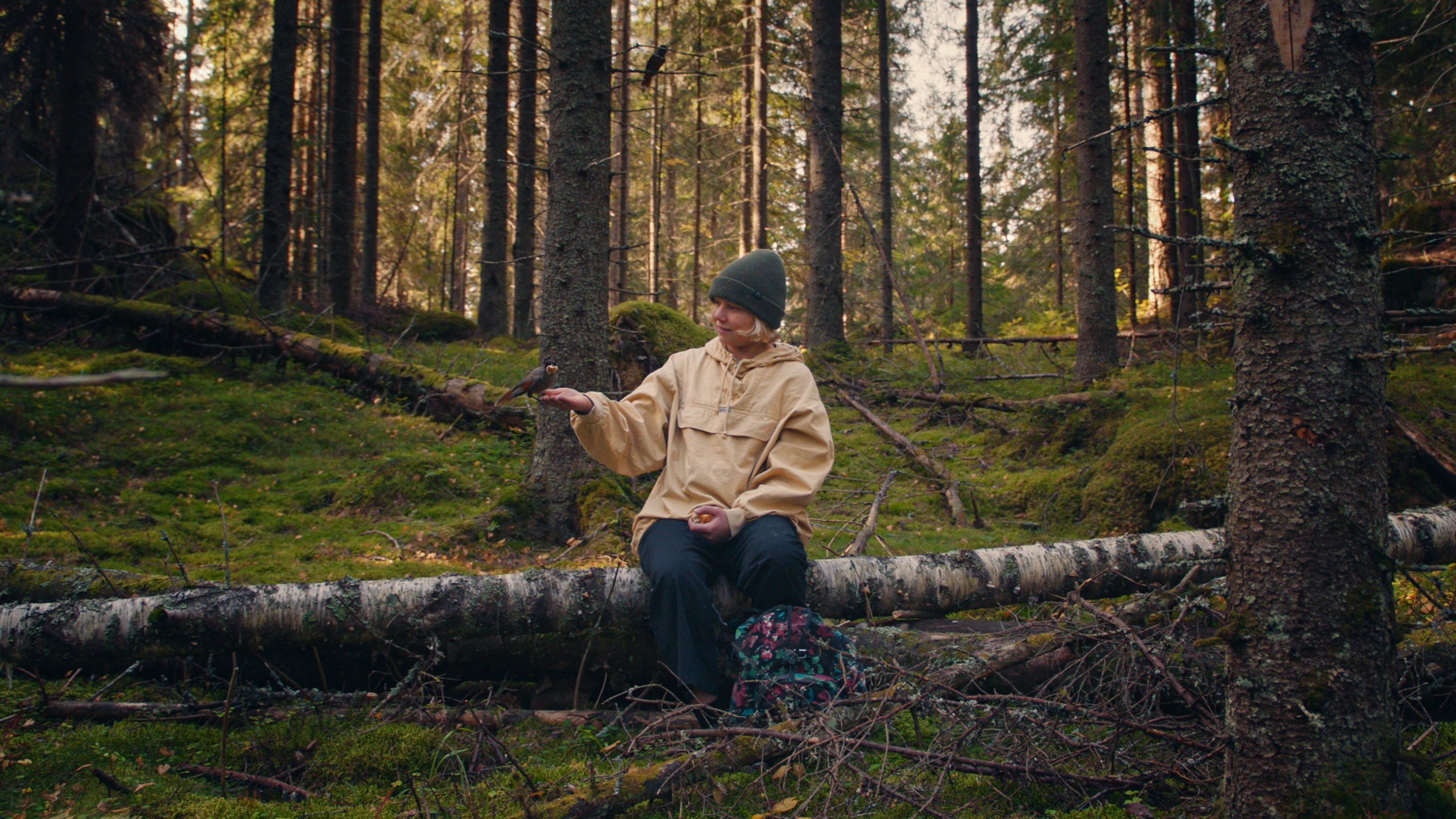 Once Upon a Time in a Forest Background