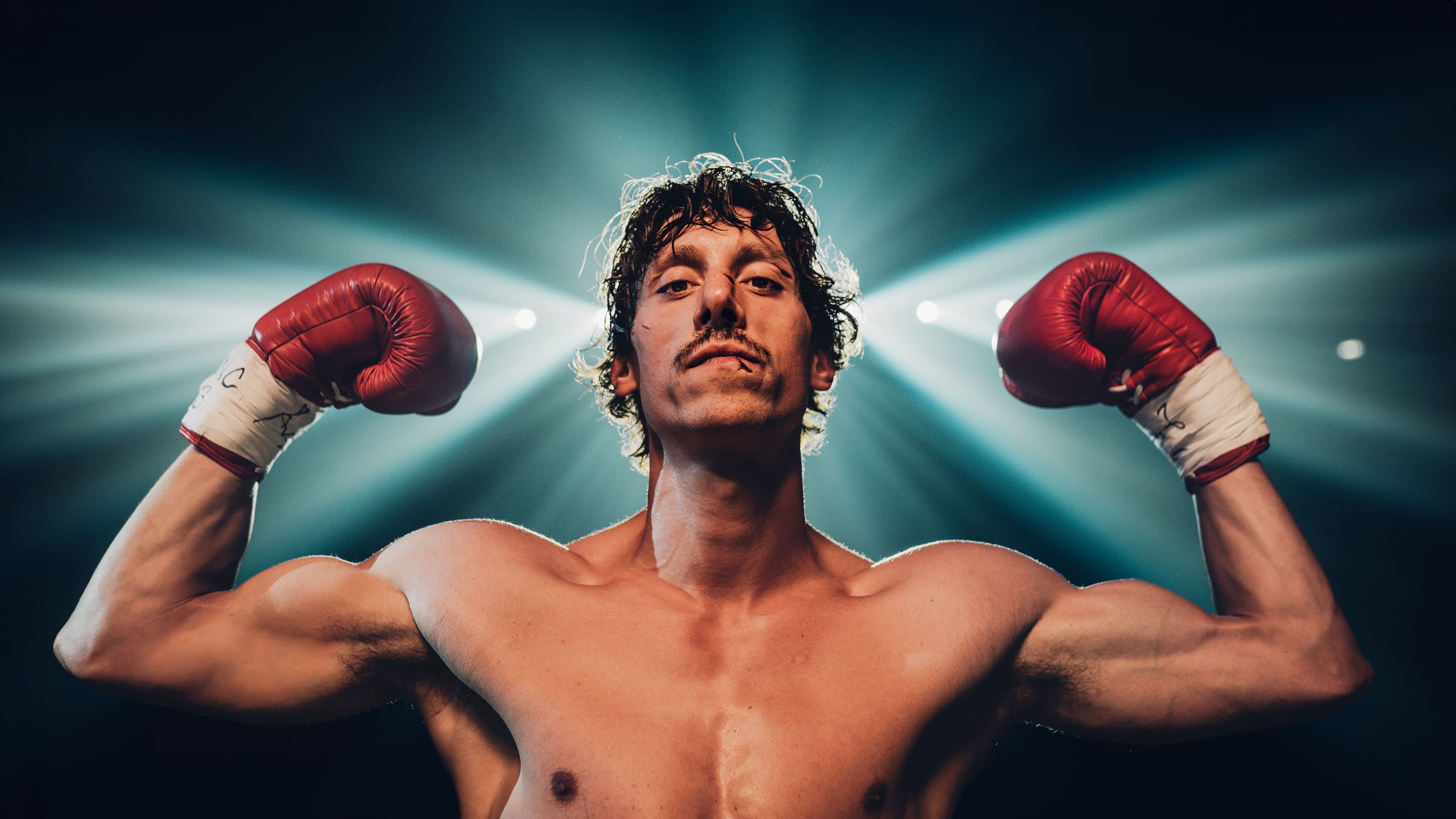Boxer Background