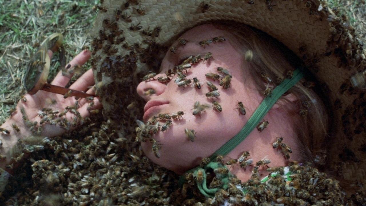 The Swarm Background