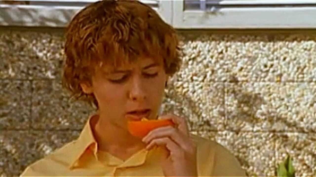 Oranges Background