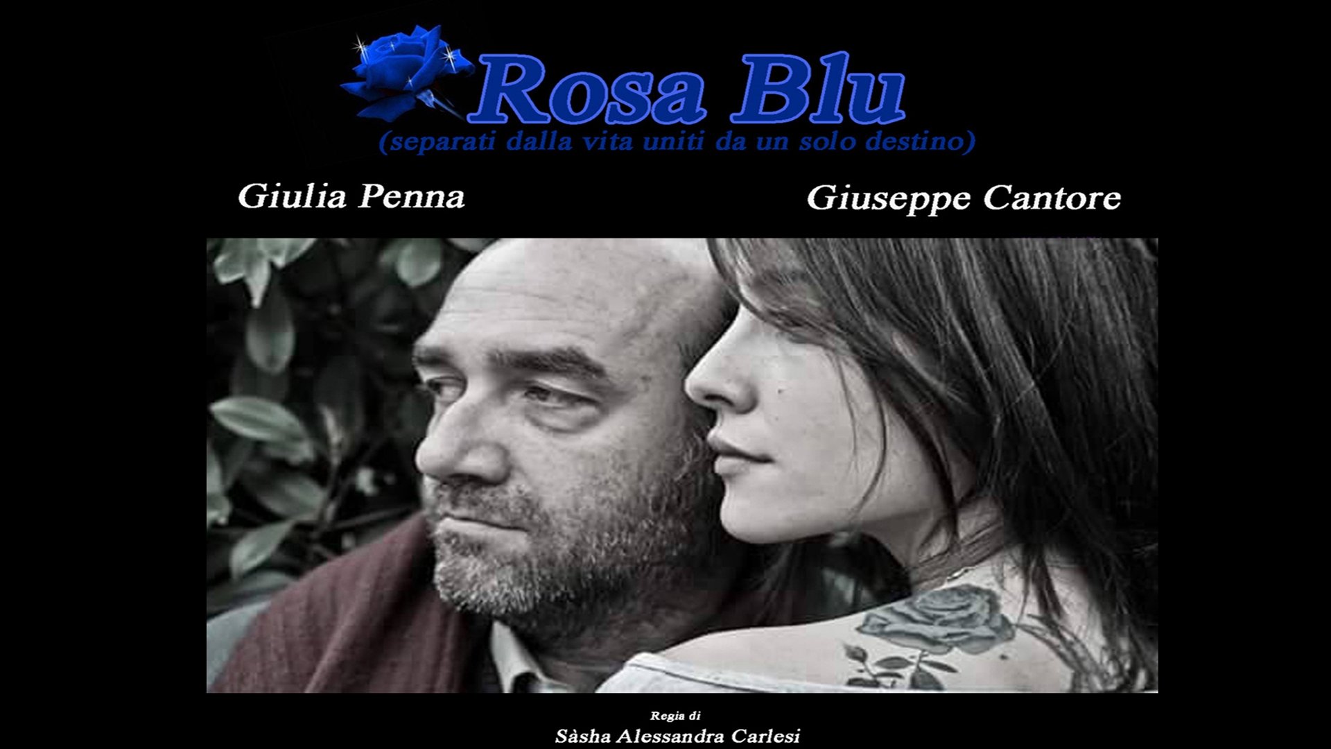 Rosa Blu Background