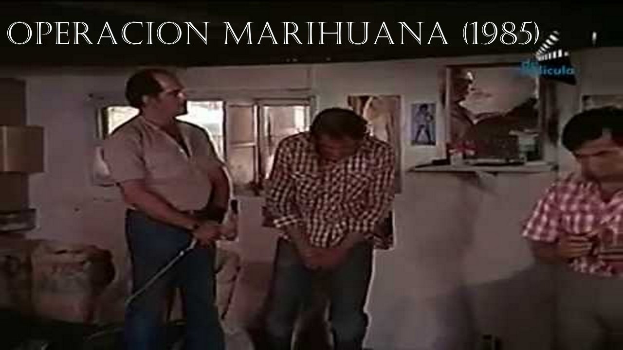 Operacion marihuana Background