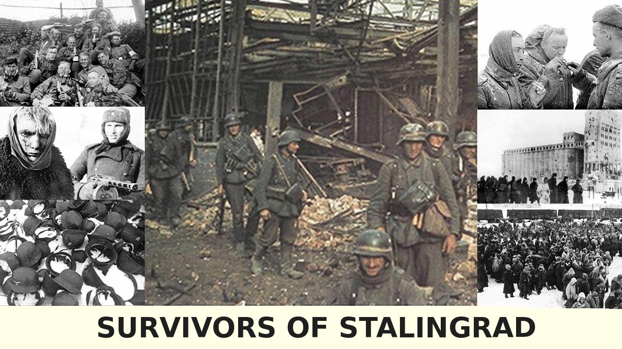 Survivors of Stalingrad Background