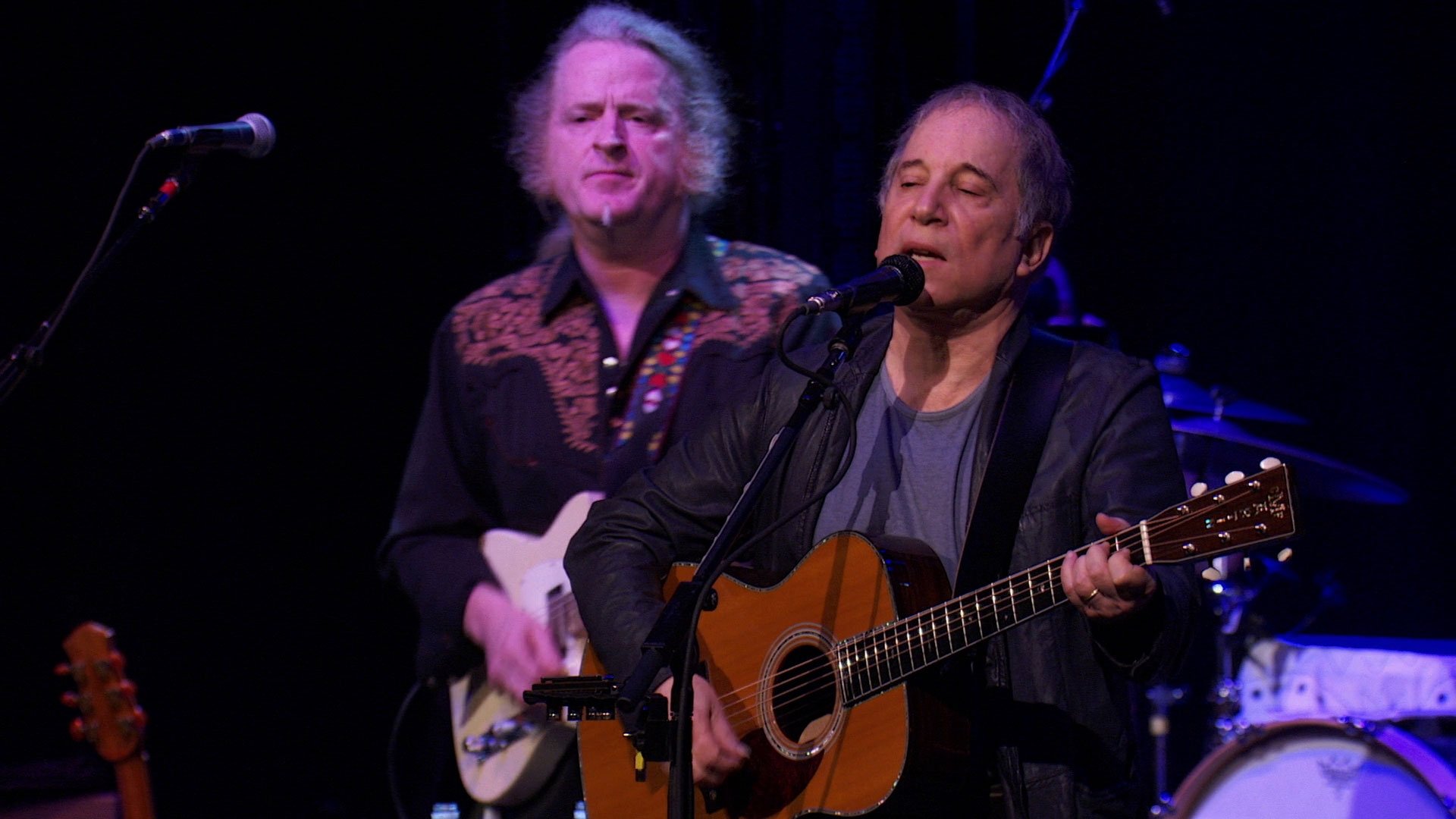 Paul Simon - Live in New York City Background