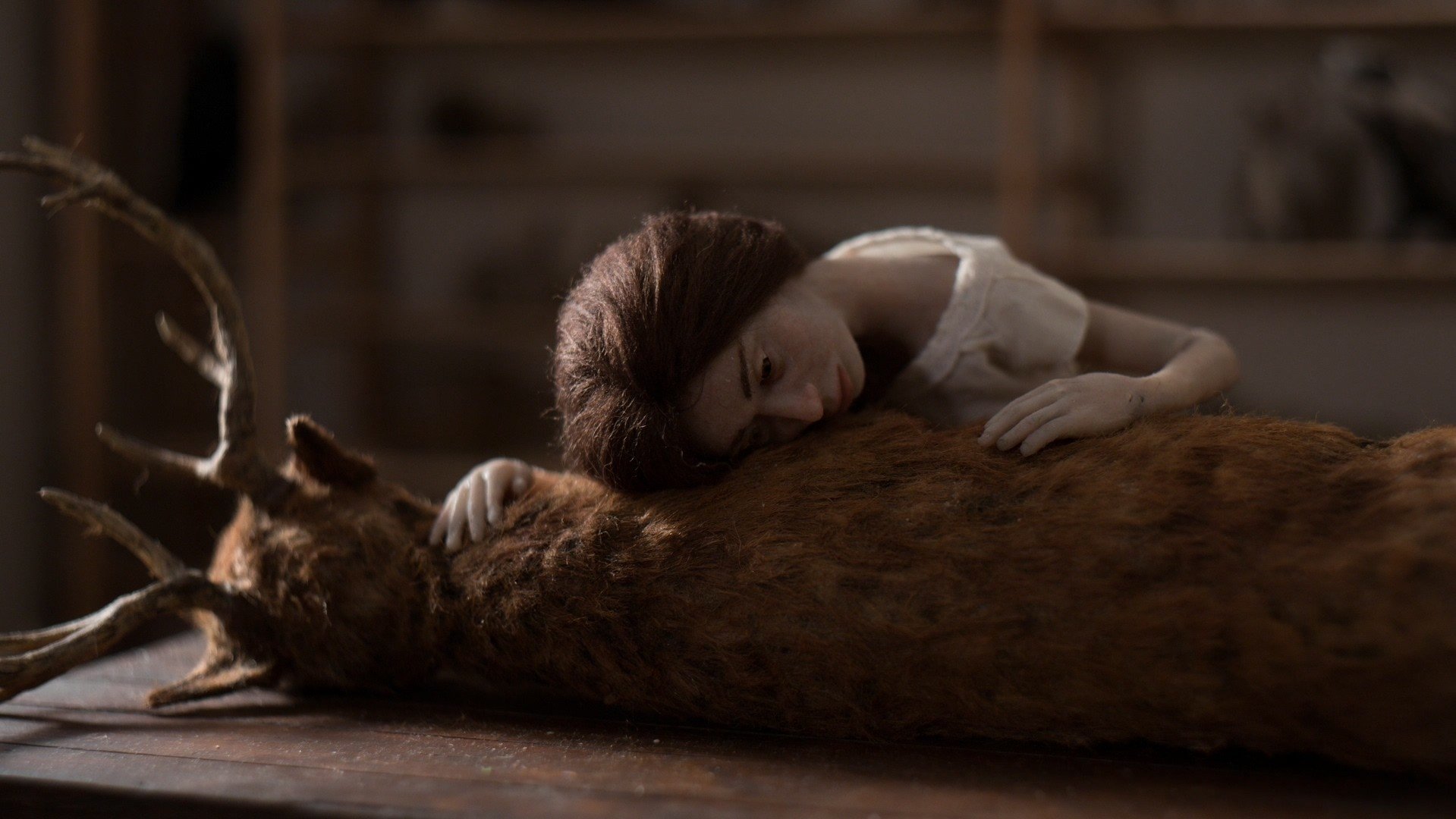 Imbued Life Background