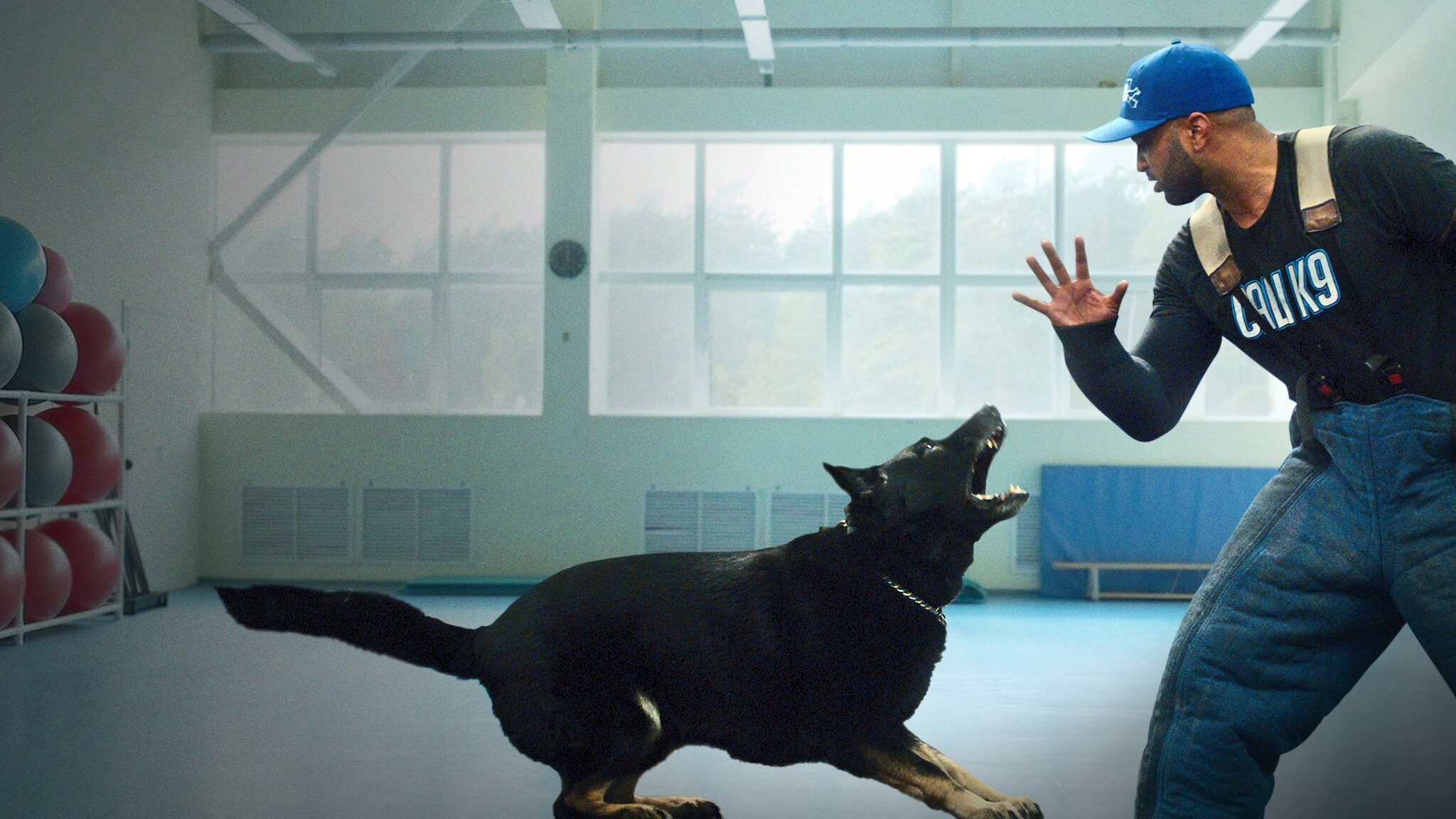 Canine Intervention Background