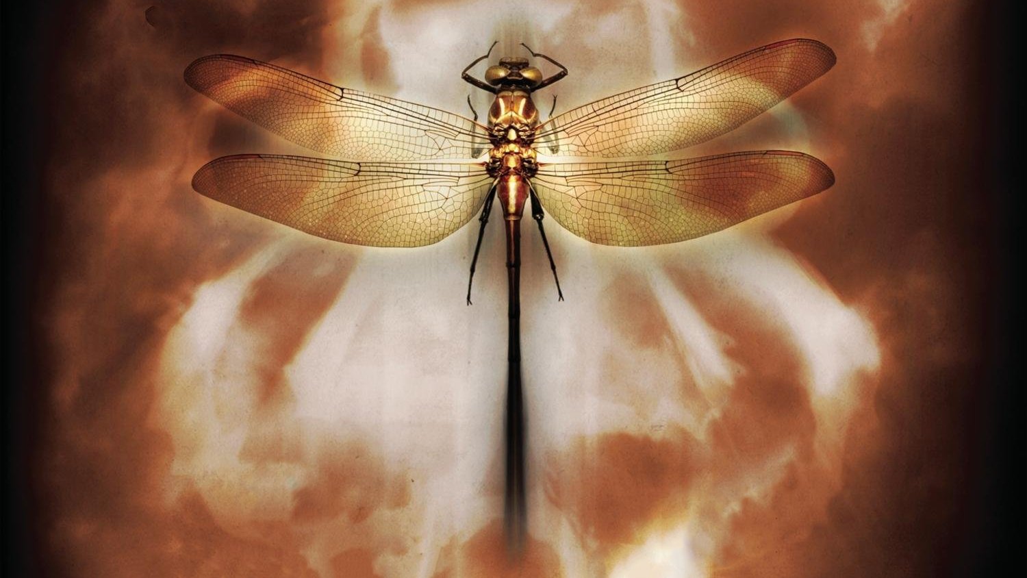 Coheed and Cambria: Neverender Background