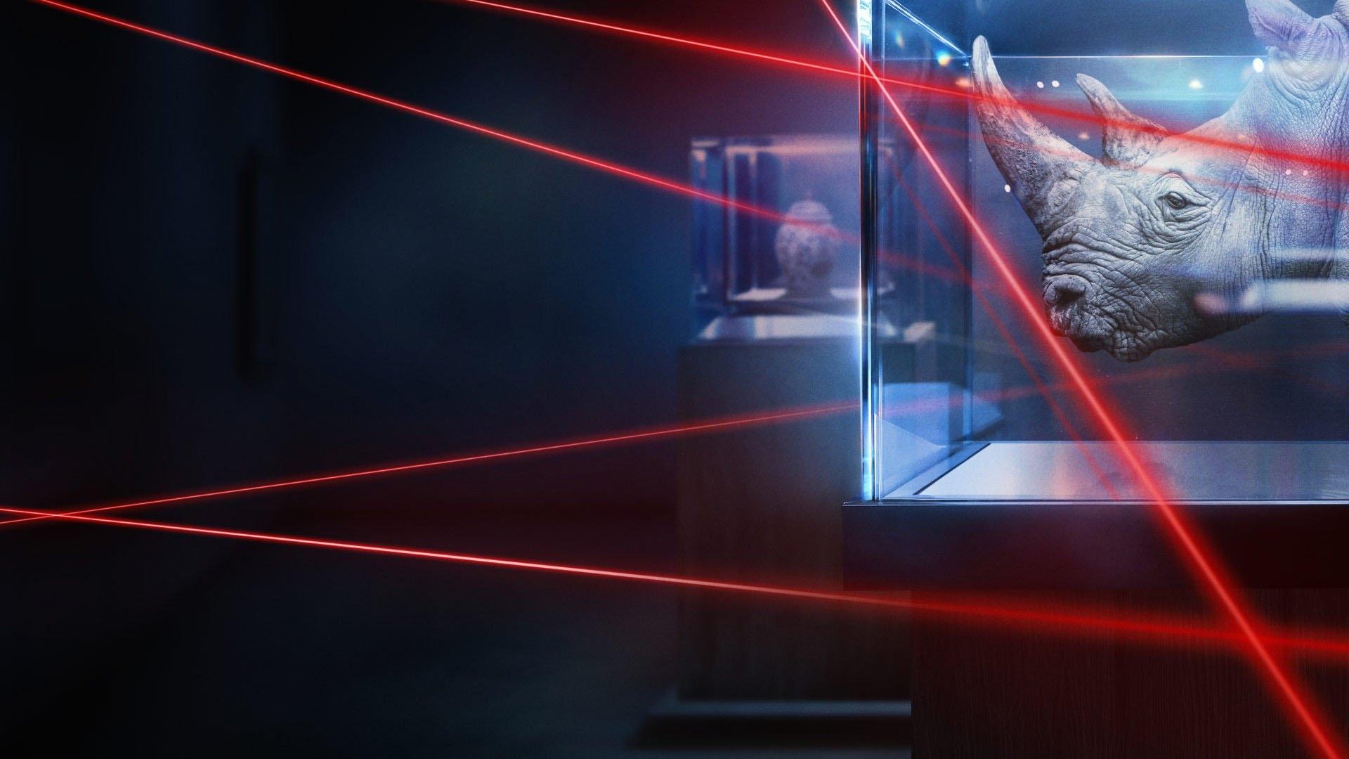 The Great Rhino Robbery Background
