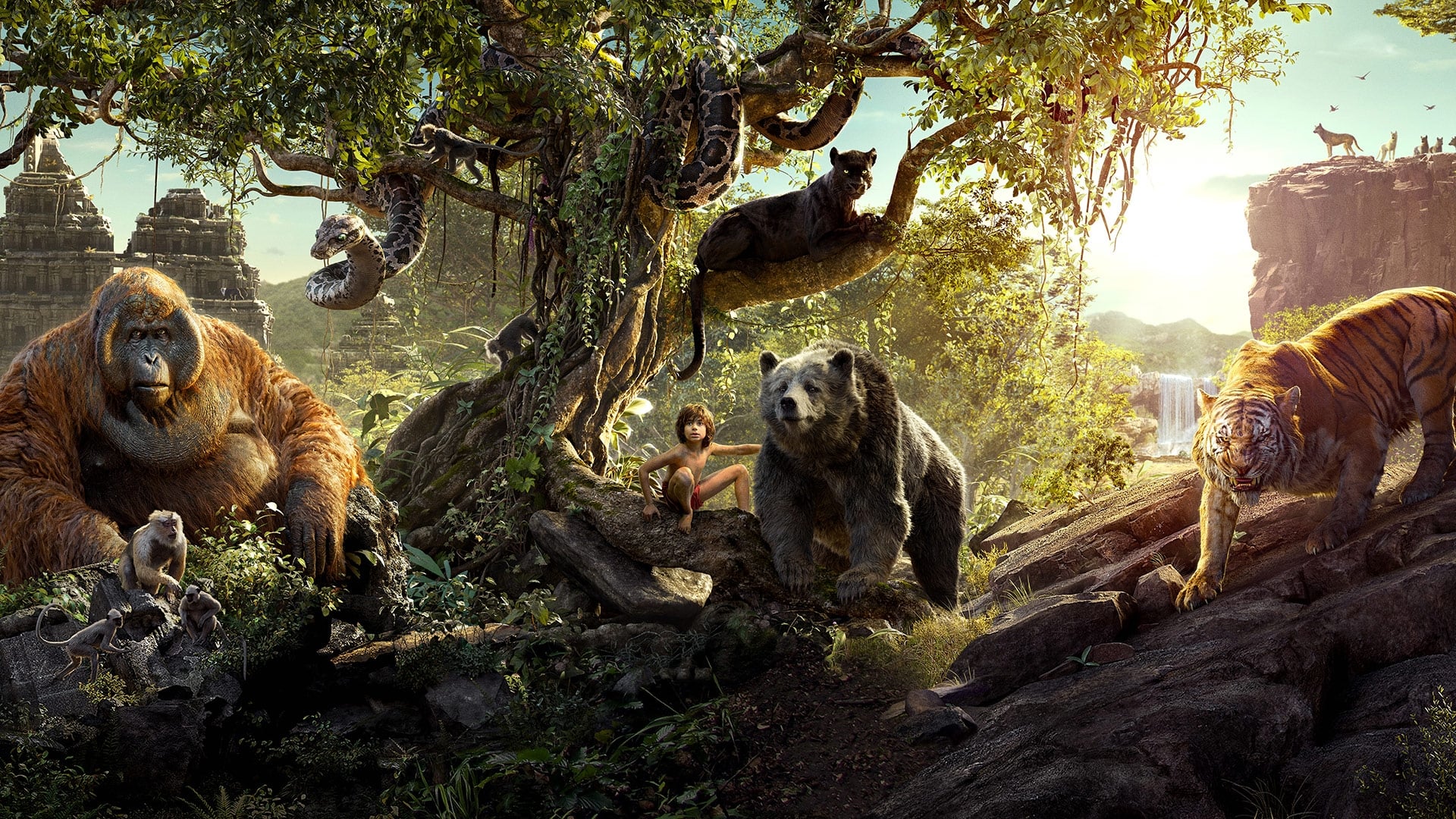 The Jungle Book Background