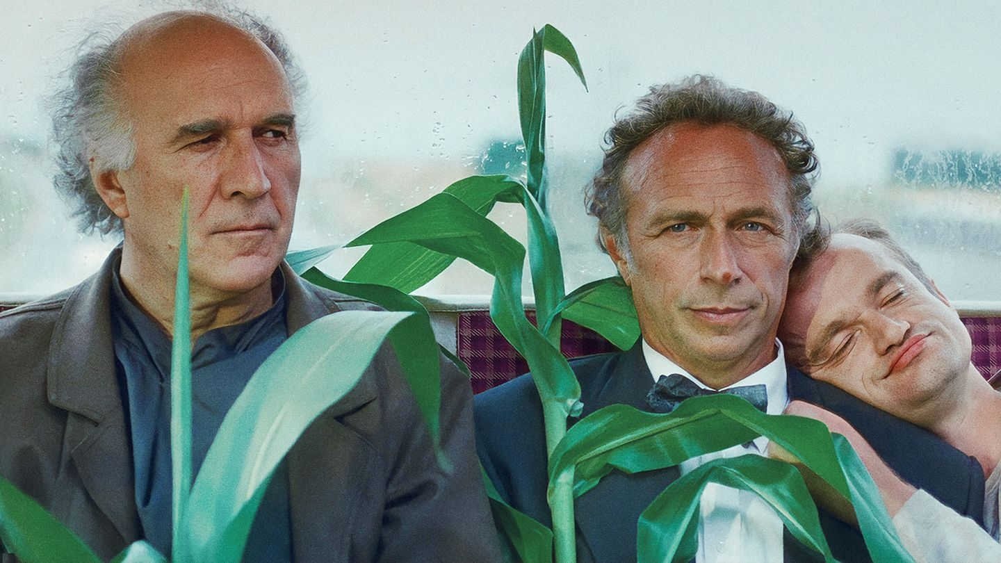 Loonies at Large Background