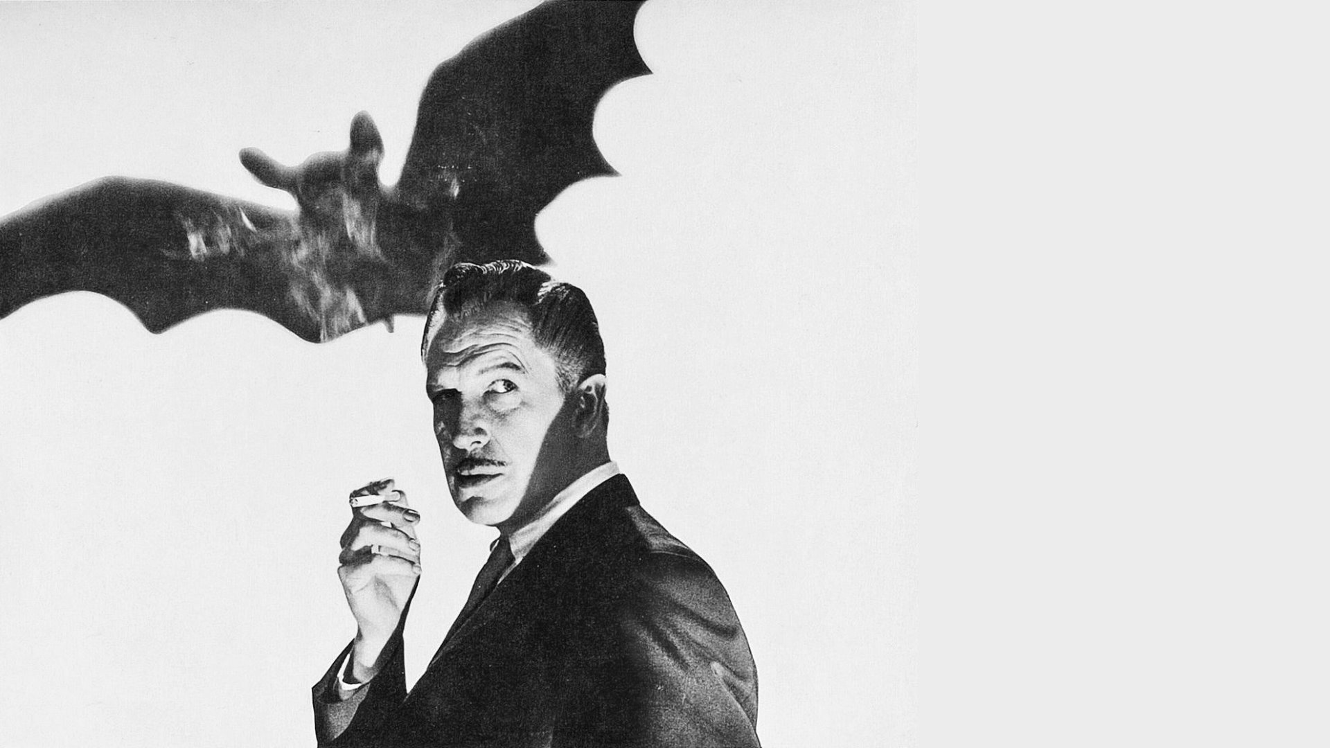 The Bat Background