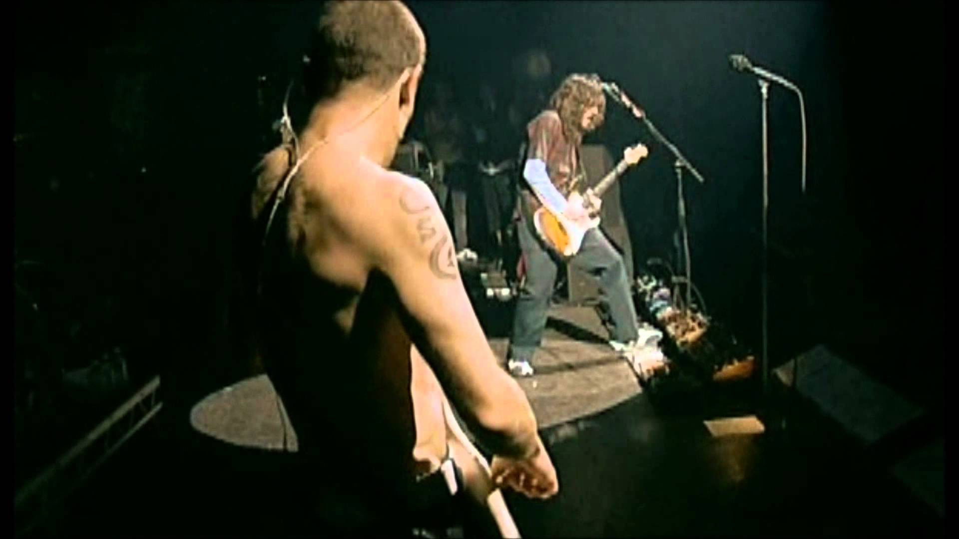 Red Hot Chili Peppers : Live at La Cigale Background