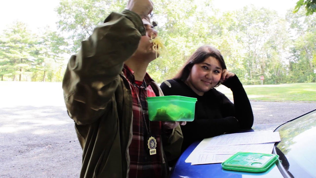 A Meowy St. Patrick's Day Background