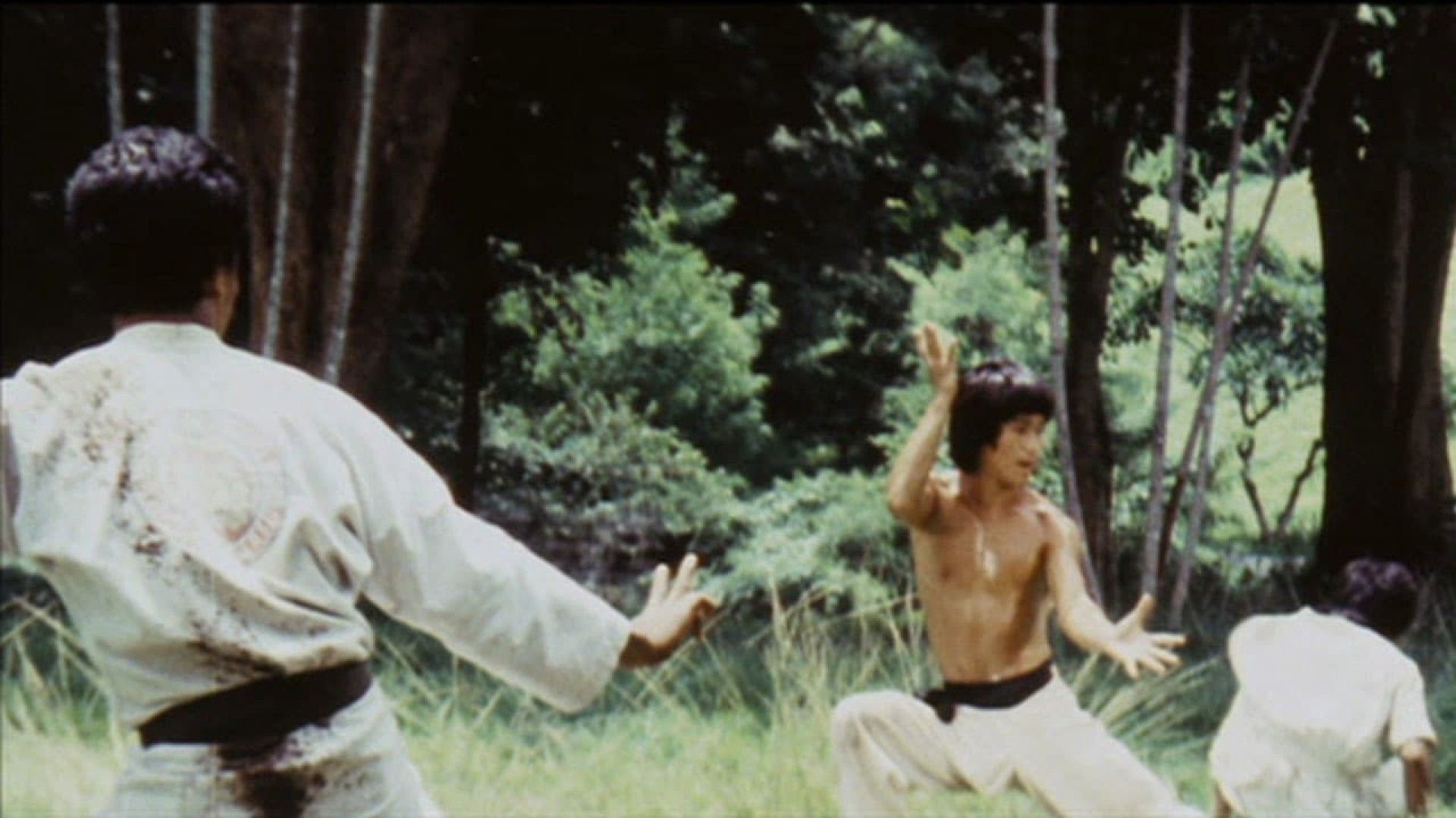 Bruce's Secret Kung Fu Background