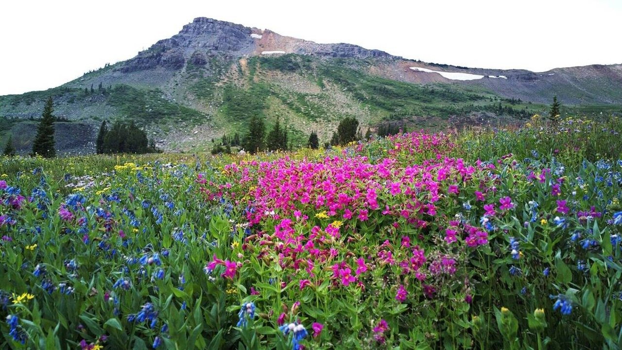 Amerikas Naturwunder Background