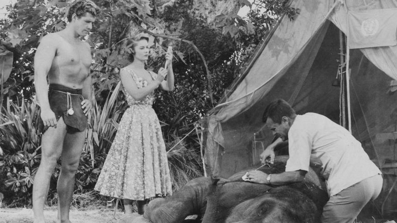 Tarzan's Hidden Jungle Background